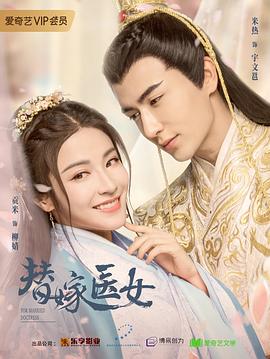         替嫁医女,介绍海报