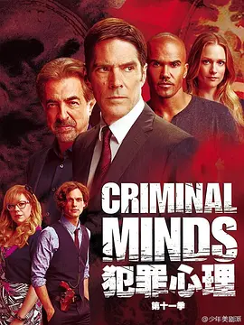 犯罪心理 第十一季分集剧情介绍(1-集)大结局