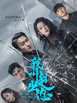 <strong>我叫赵出息</strong>