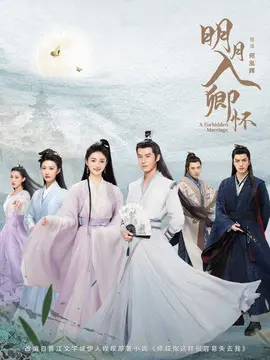 明月入卿怀分集剧情介绍(1-24集)大结局